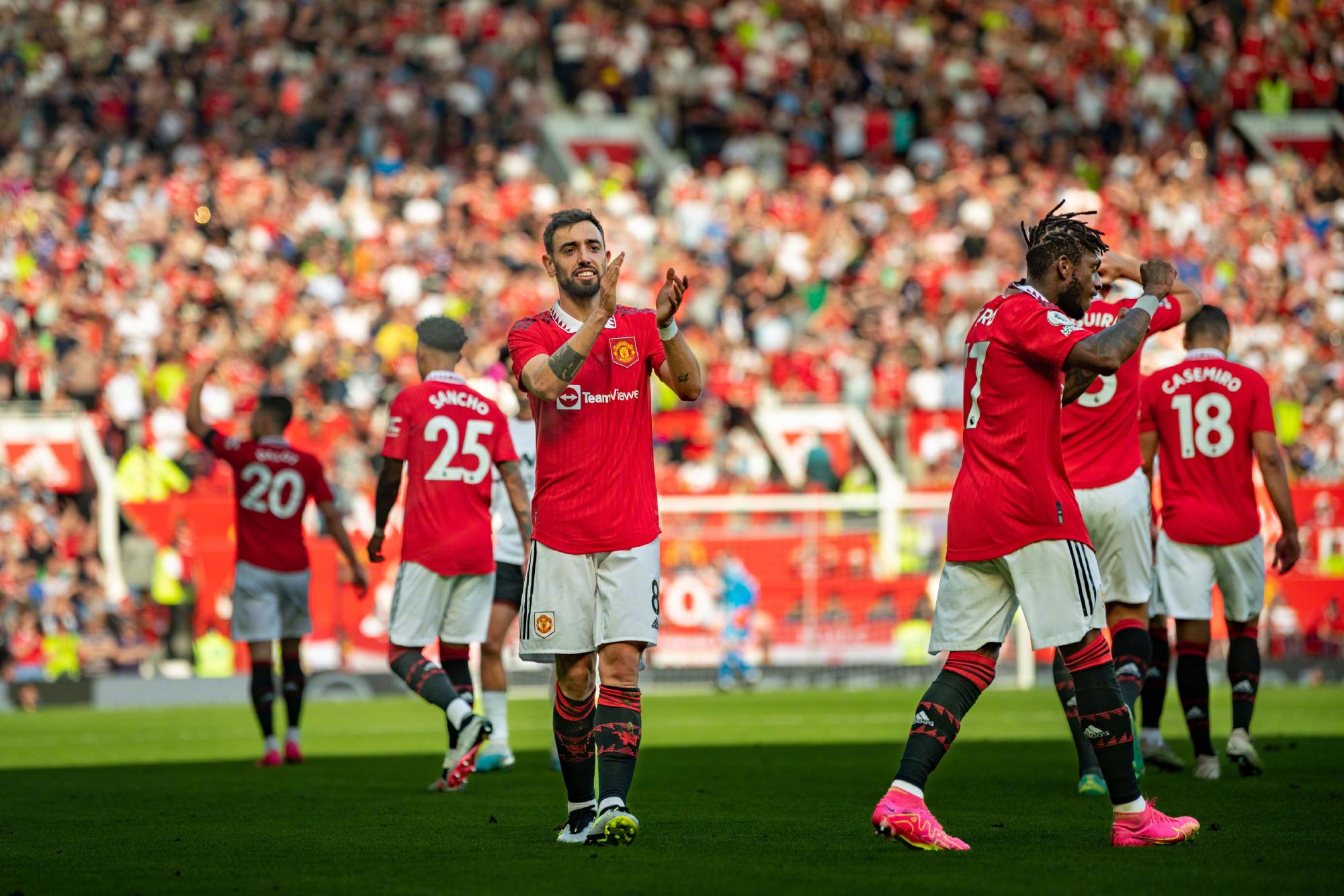 并与多家培 并与多家培